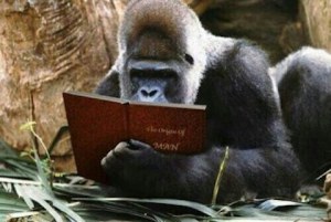 story-reading-ape1