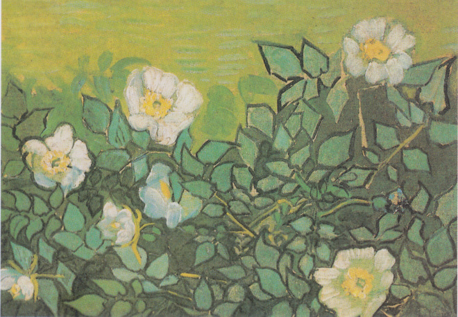 Van_Gogh_-_Wilde_Rosen